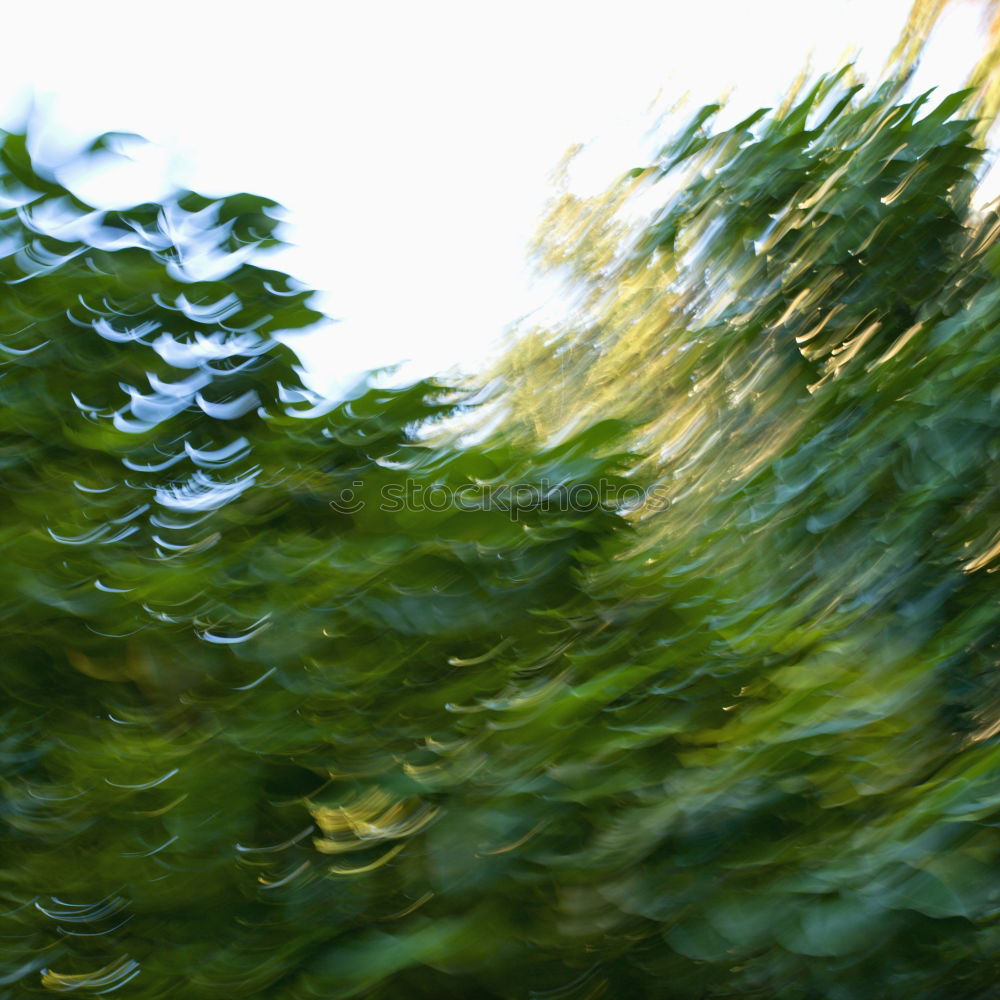 Similar – Image, Stock Photo reflection leaves water sky