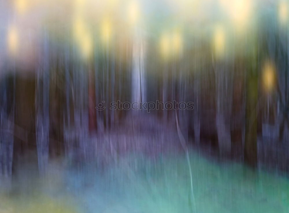 Similar – Image, Stock Photo In the forest II