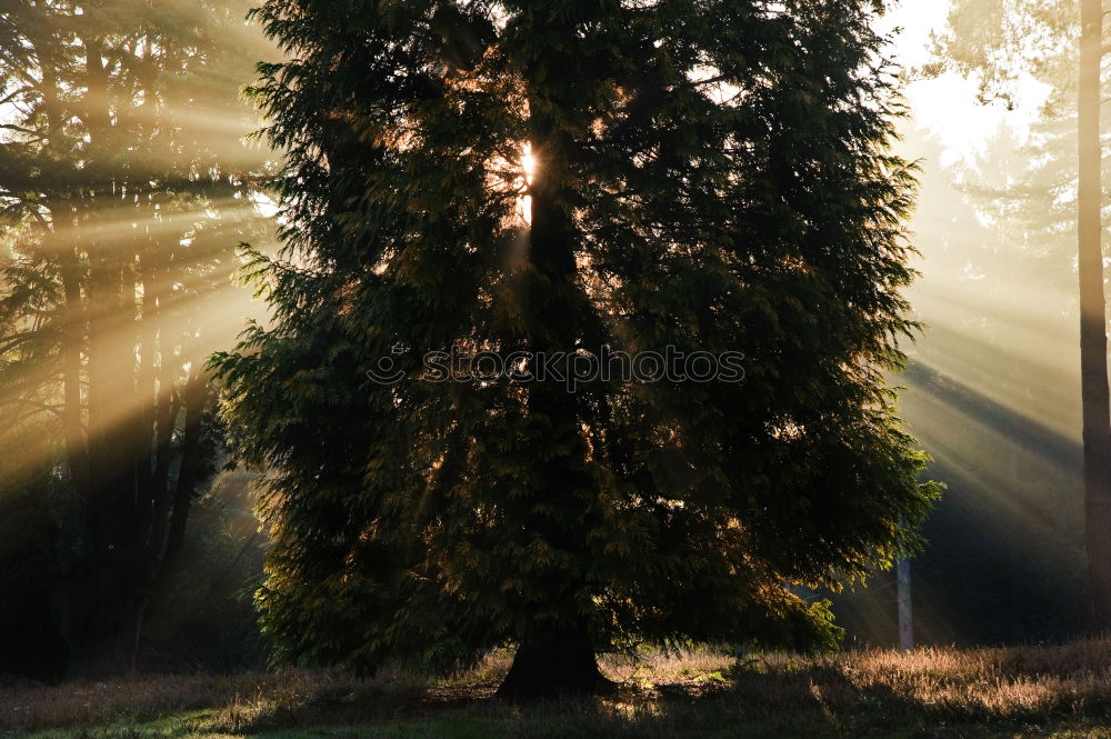 Similar – Image, Stock Photo View through the Iron Curtain