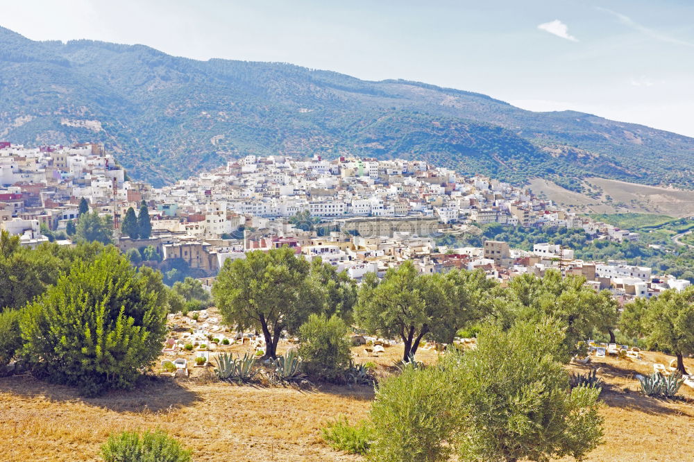 Similar – Image, Stock Photo Arcos de la Frontera [XLVI]