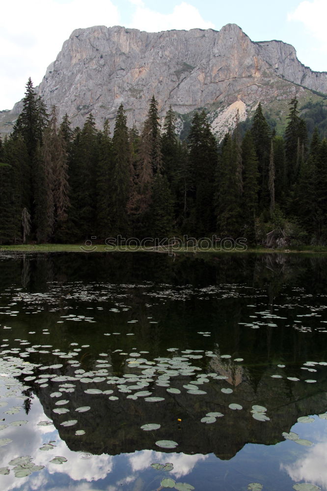 Similar – Foto Bild Yosemite II See Baum grün