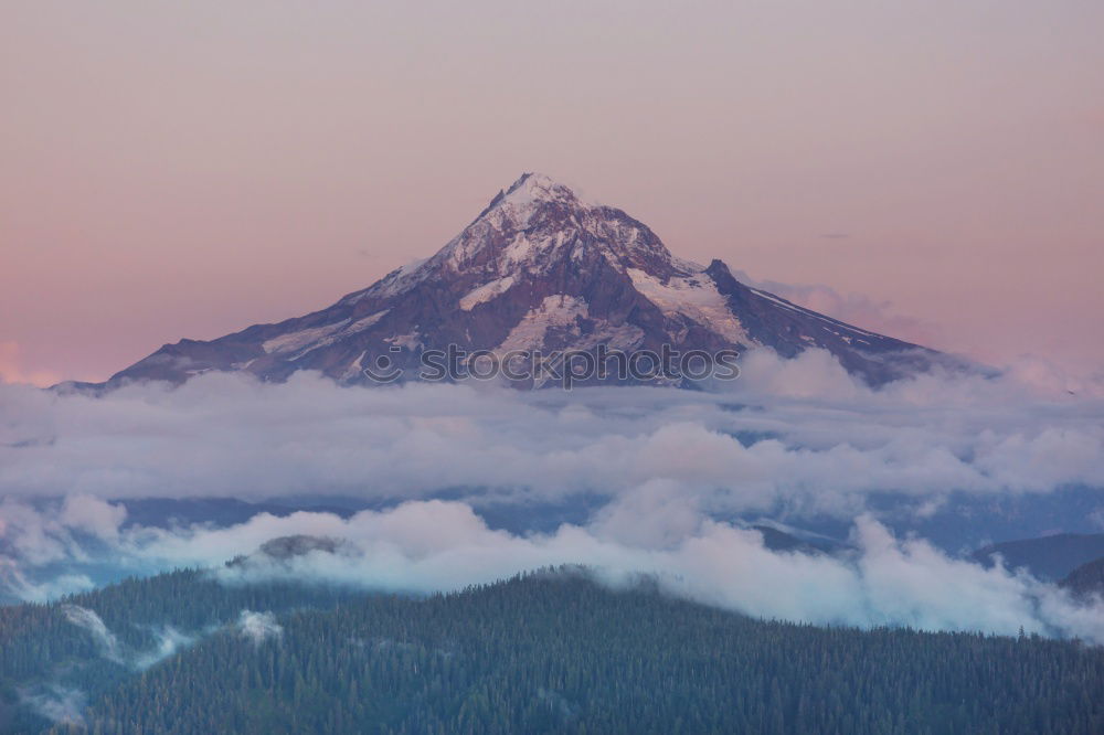 Similar – Image, Stock Photo morning glory Environment