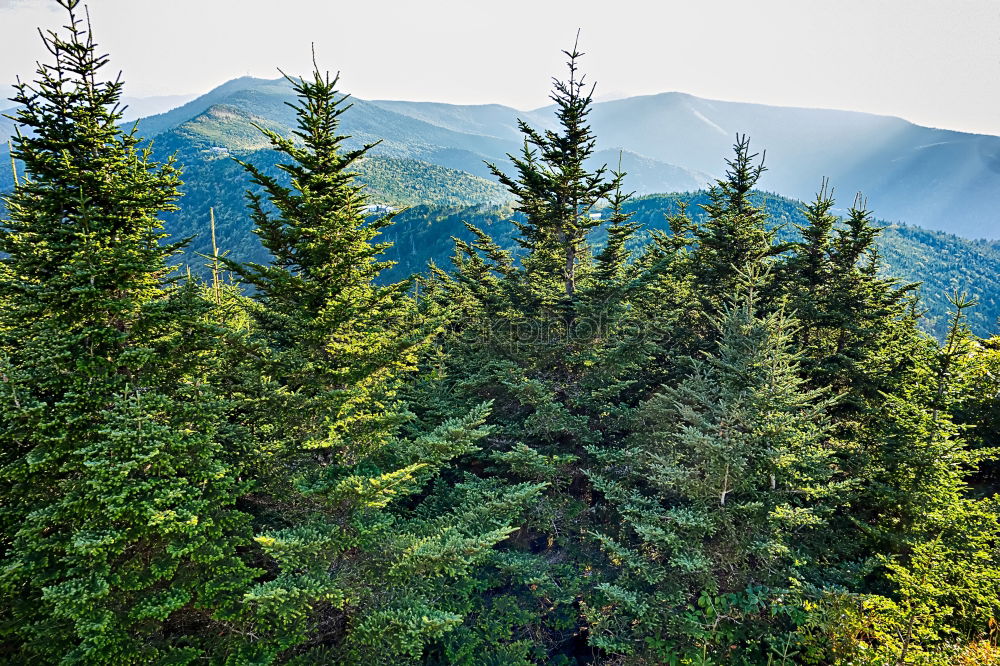 Similar – Image, Stock Photo Diamond Peak Landscape