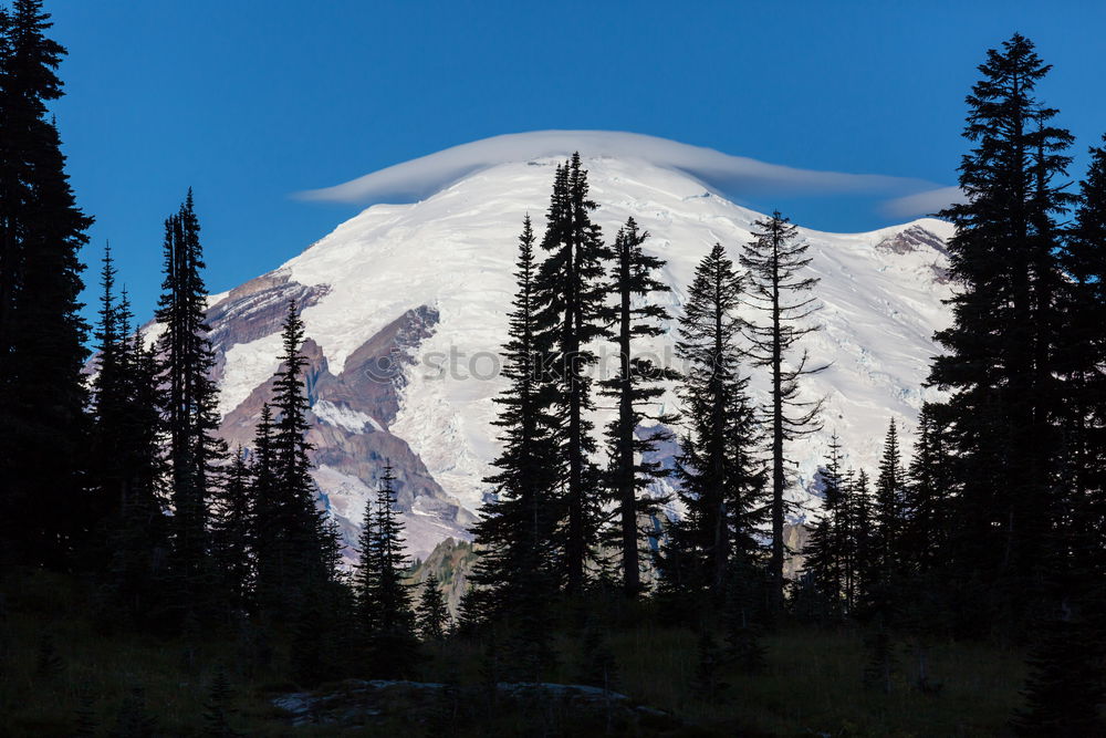Similar – Image, Stock Photo Summer Wildflowers on Paradise Ridge