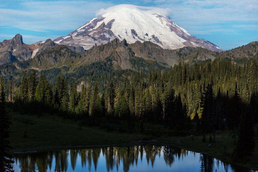 Similar – Image, Stock Photo Summer Wildflowers on Paradise Ridge