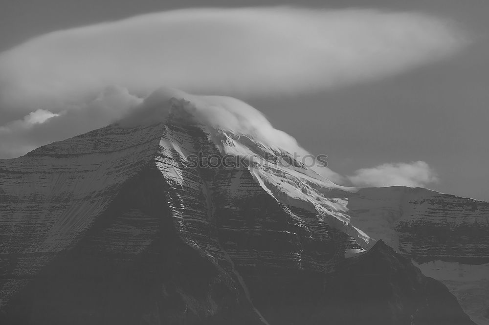 Similar – Matterhorn I Baum Tanne