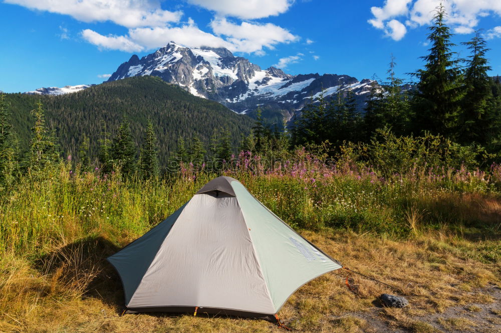 Similar – Image, Stock Photo Kings Camping Wellness