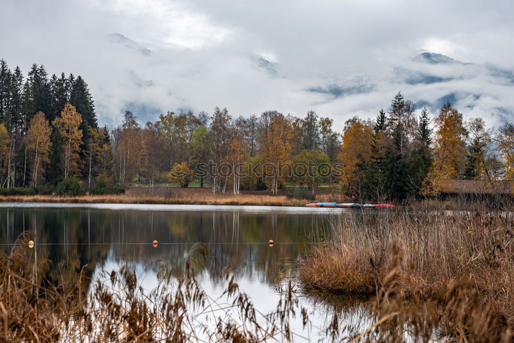 Similar – Image, Stock Photo Reflection of a mountain in the Dolomites III