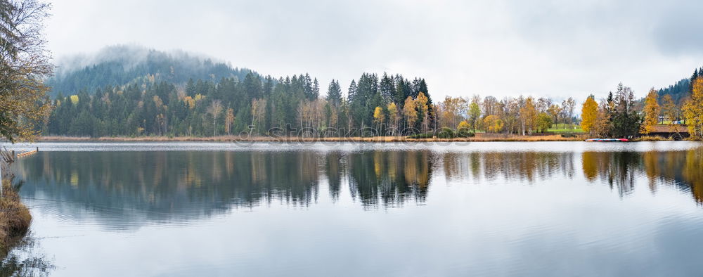 Similar – Image, Stock Photo single double Plant Tree