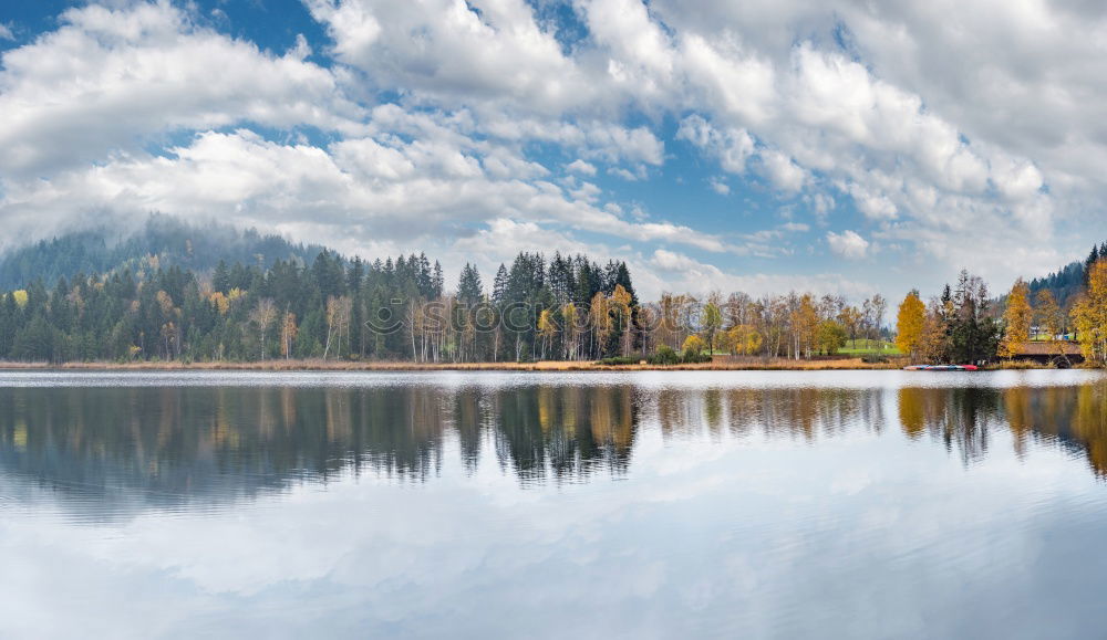 Similar – Image, Stock Photo Autumnal play of colours