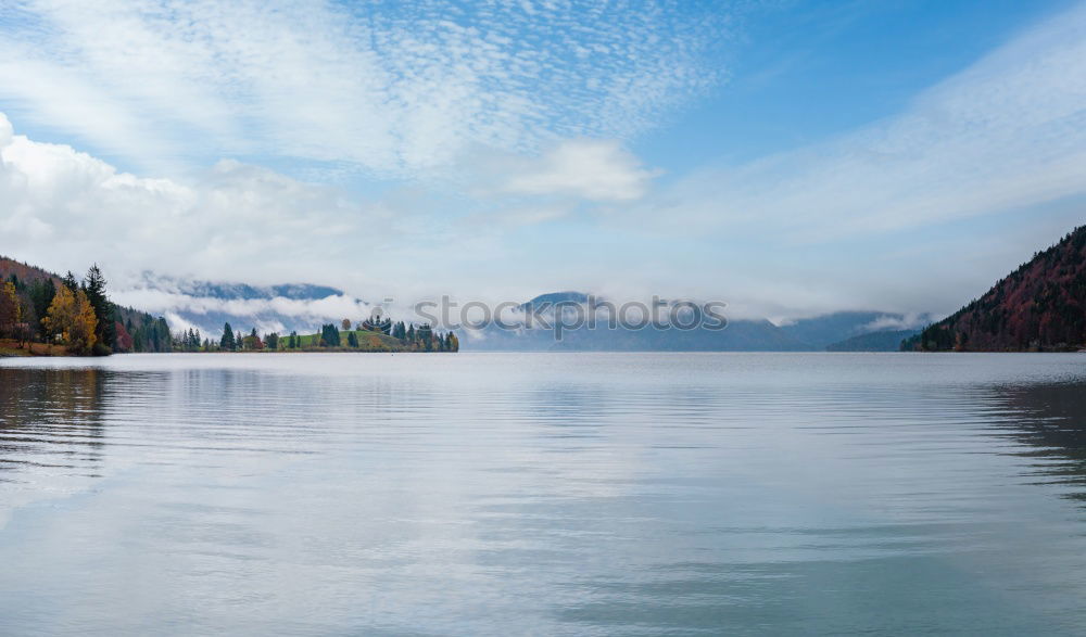 Similar – Image, Stock Photo Woman on a bridge enjoying the view