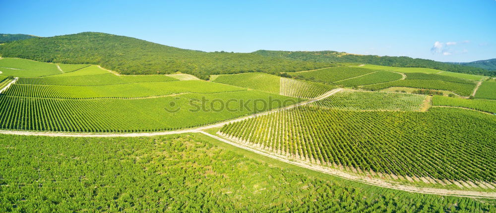 Similar – Image, Stock Photo tea with view