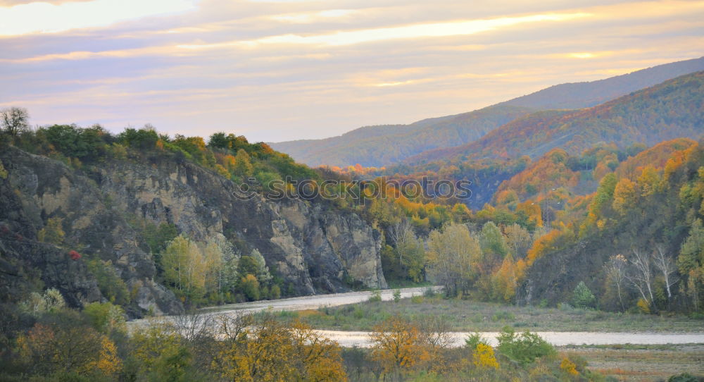 Similar – Image, Stock Photo autumn foliage Environment