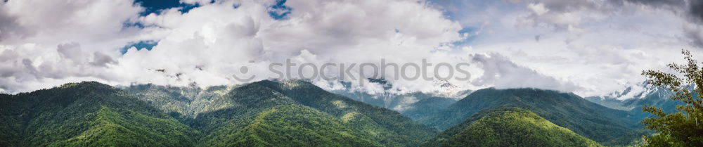 Similar – Image, Stock Photo Cypresses. Nature Symmetry