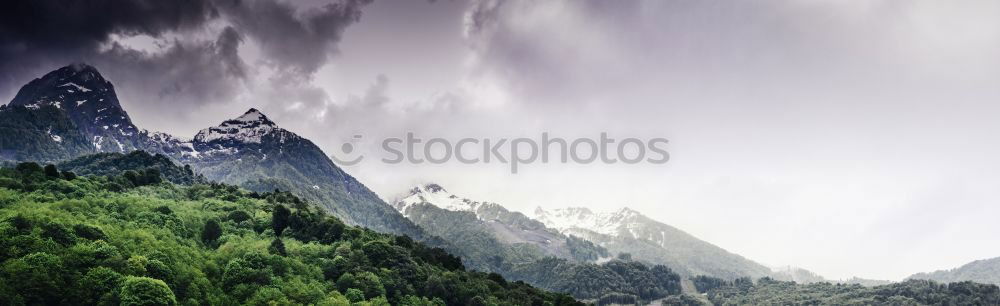 Similar – Image, Stock Photo Beautiful autumn foggy morning panorama. Tatra mountains