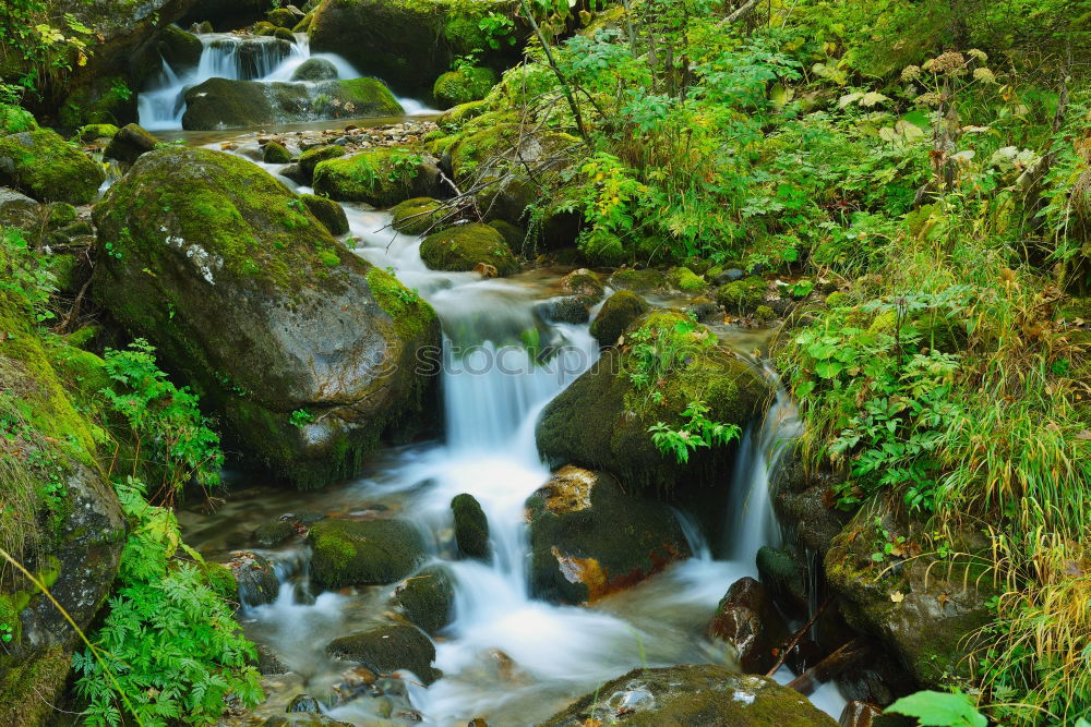 Similar – Water Brook Green River