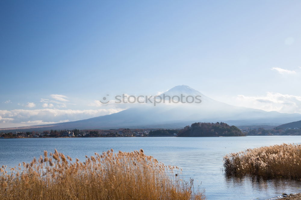 Similar – Image, Stock Photo Stanley Park and the sea in Vancouver, Canada