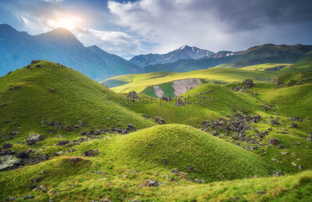 Similar – Golden mountains in Lagodekhi national park, Georgia