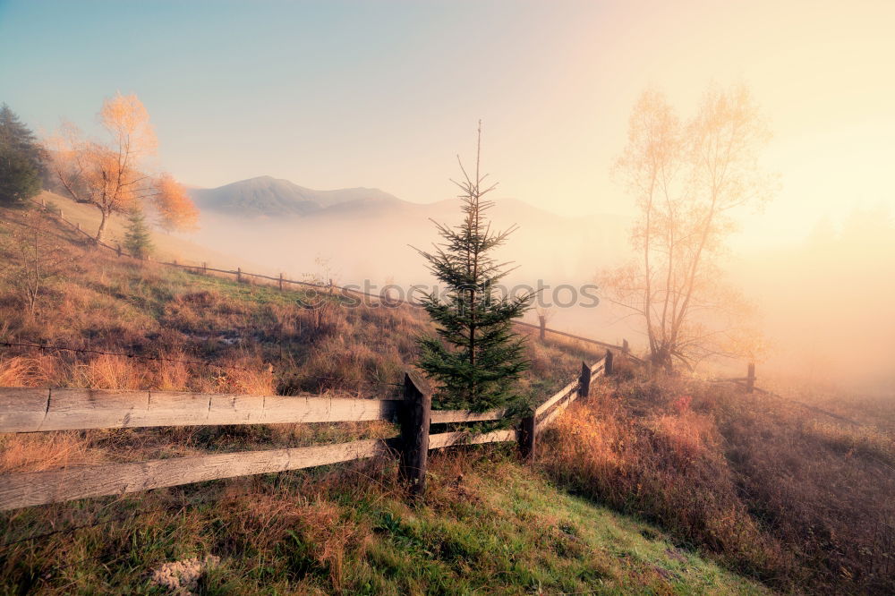 Similar – Tower of rural church in misty autumn colorful morning