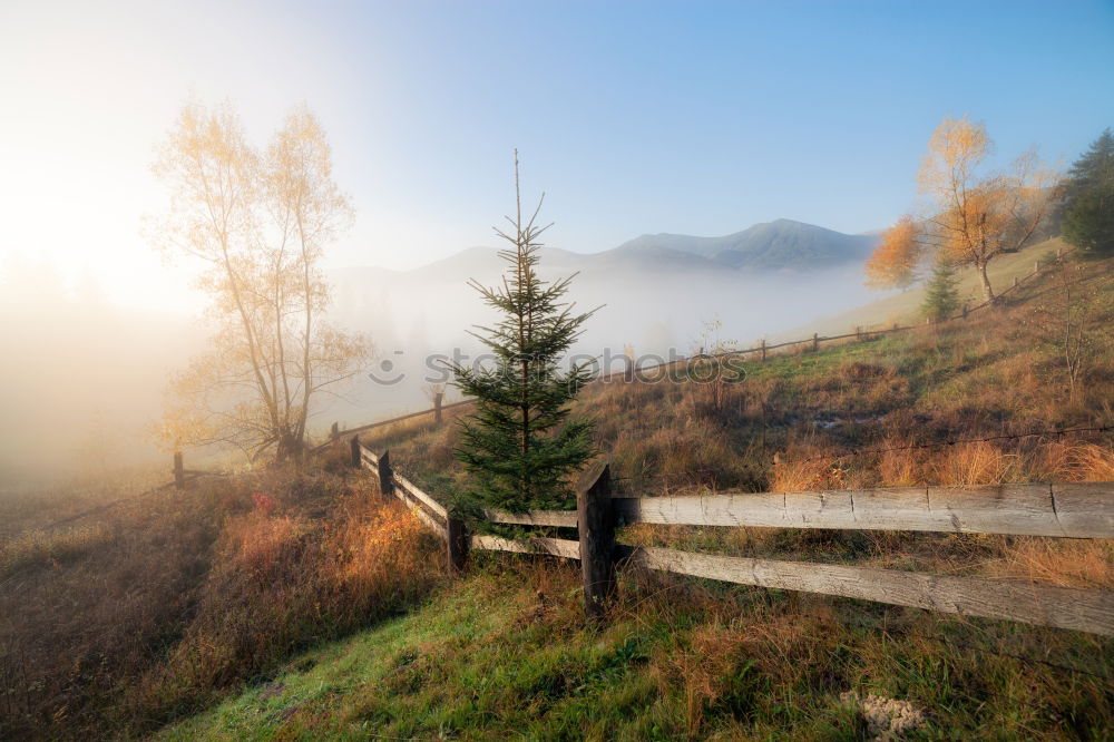 Similar – Tower of rural church in misty autumn colorful morning