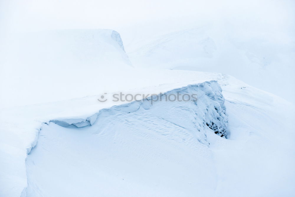 Similar – Brennholz Natur Himmel