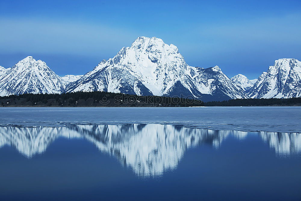 Similar – Image, Stock Photo bugle Schreckhorn White