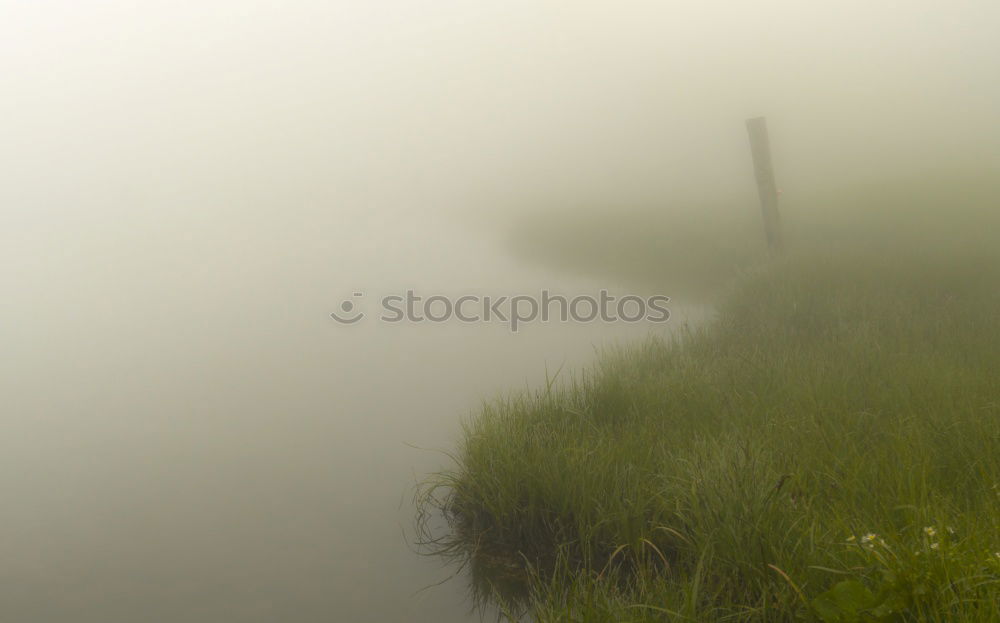 Similar – fog lake Calm Nature Water