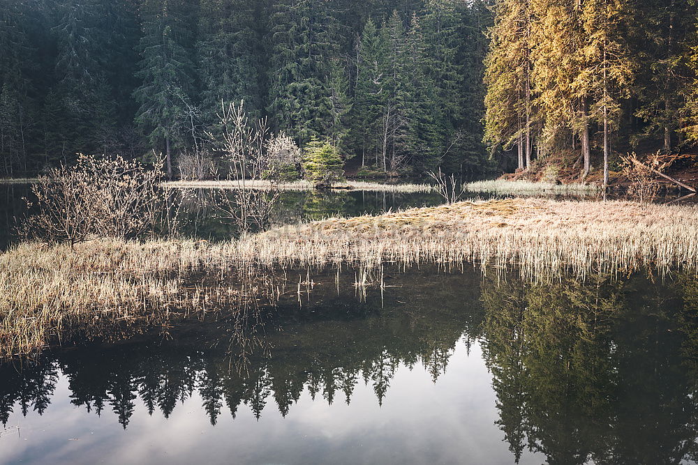 Similar – (Duck-)house at the lake