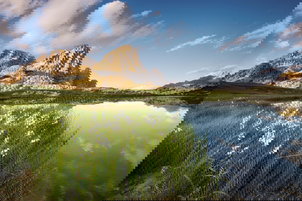 Similar – Foto Bild No Tree Hills Umwelt Natur