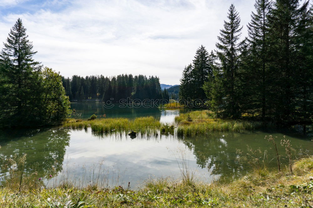 Similar – Island in the lake Lake