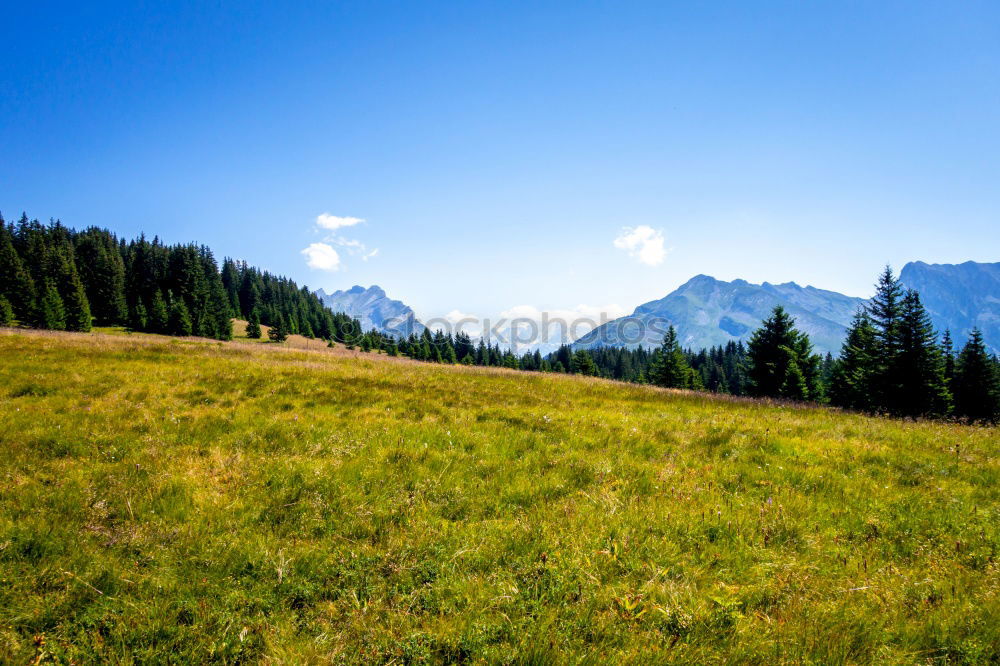 Similar – Image, Stock Photo Too late for summer?
