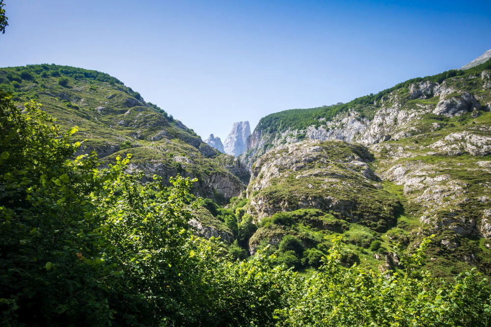 Similar – Image, Stock Photo Beyond the mountains…