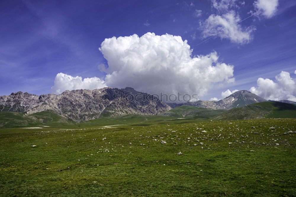 Similar – Image, Stock Photo Wonderful Mongolia Culture