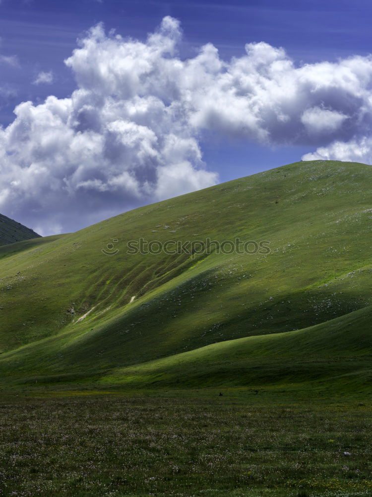 Similar – Image, Stock Photo Wonderful Mongolia Culture