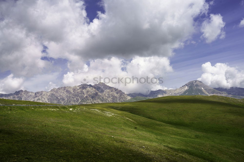 Similar – Image, Stock Photo Forest in a piece