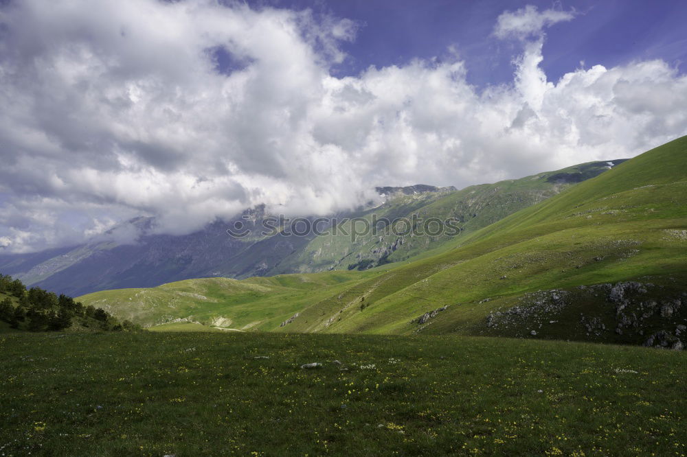 Similar – Image, Stock Photo Forest in a piece