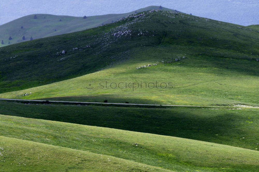 Similar – Image, Stock Photo A long way through the green