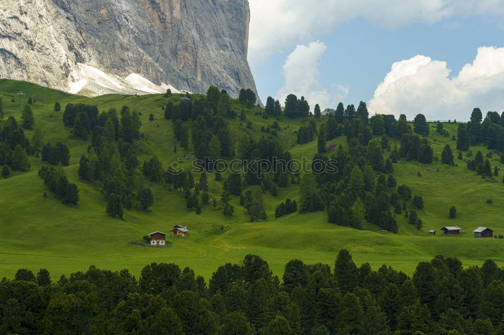 Seiser Alm harmonisch