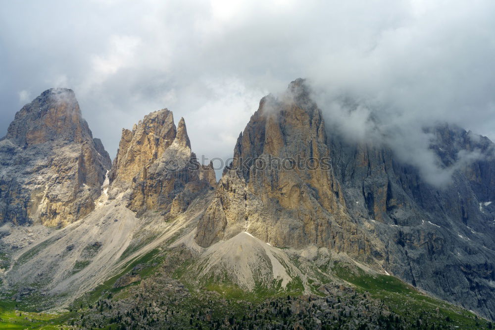 Similar – Almenrausch at the Geisler peaks