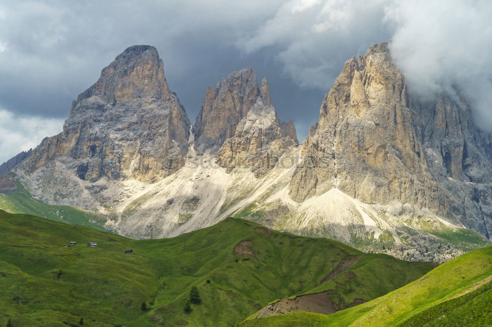 Similar – Almenrausch at the Geisler peaks