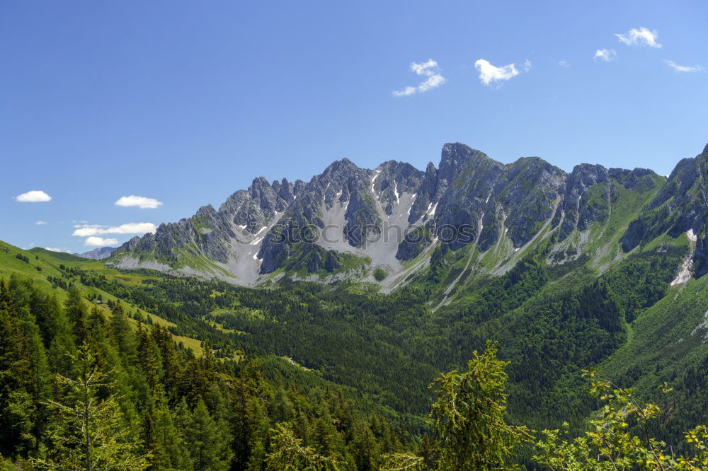 Similar – pilatus Sommer Wald fahren