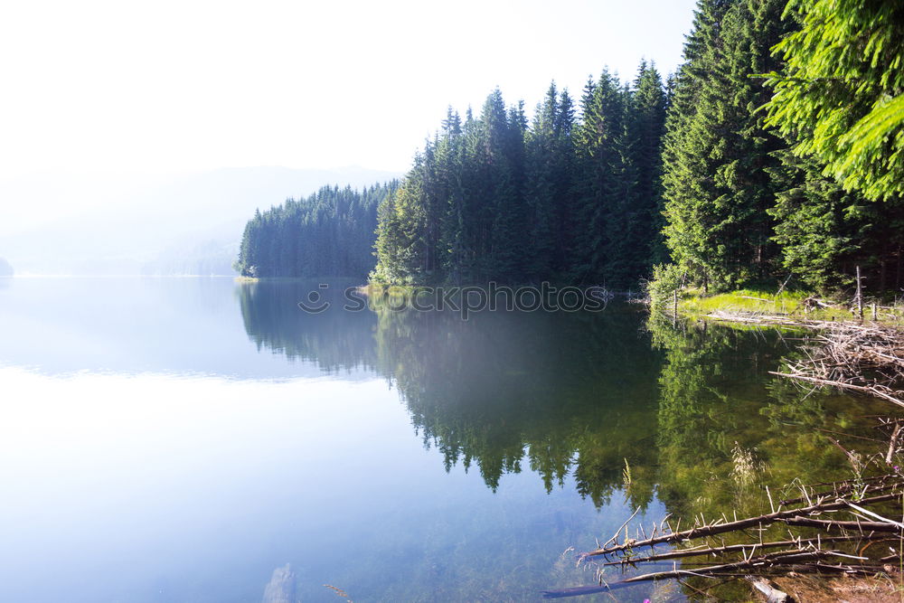 Similar – Image, Stock Photo Lütsche Dam / Thuringia