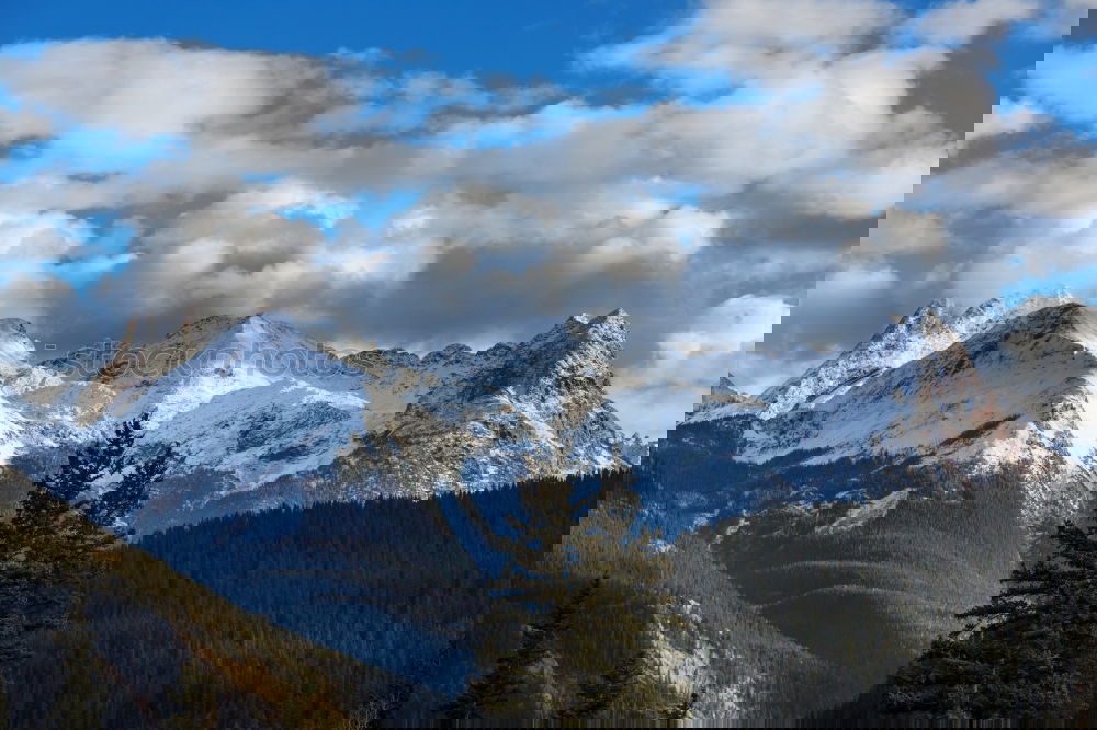 Similar – Image, Stock Photo Snow-capped mountains and fir forests