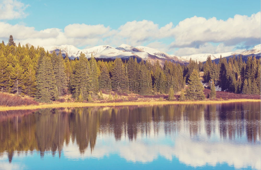 Similar – Image, Stock Photo Lütsche Dam / Thuringia