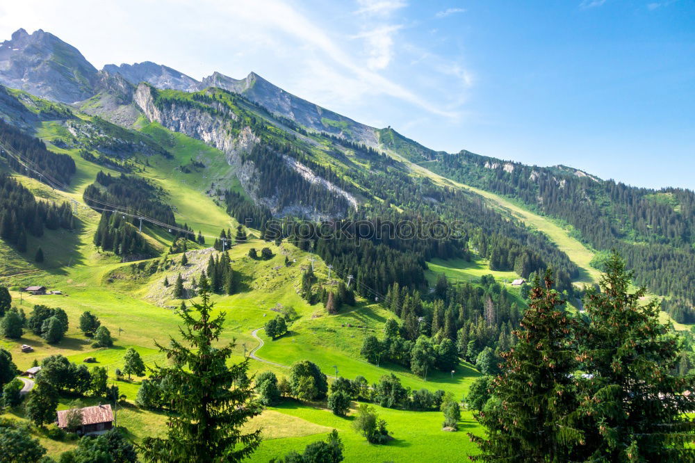 Similar – Image, Stock Photo Flight to Gstaad II