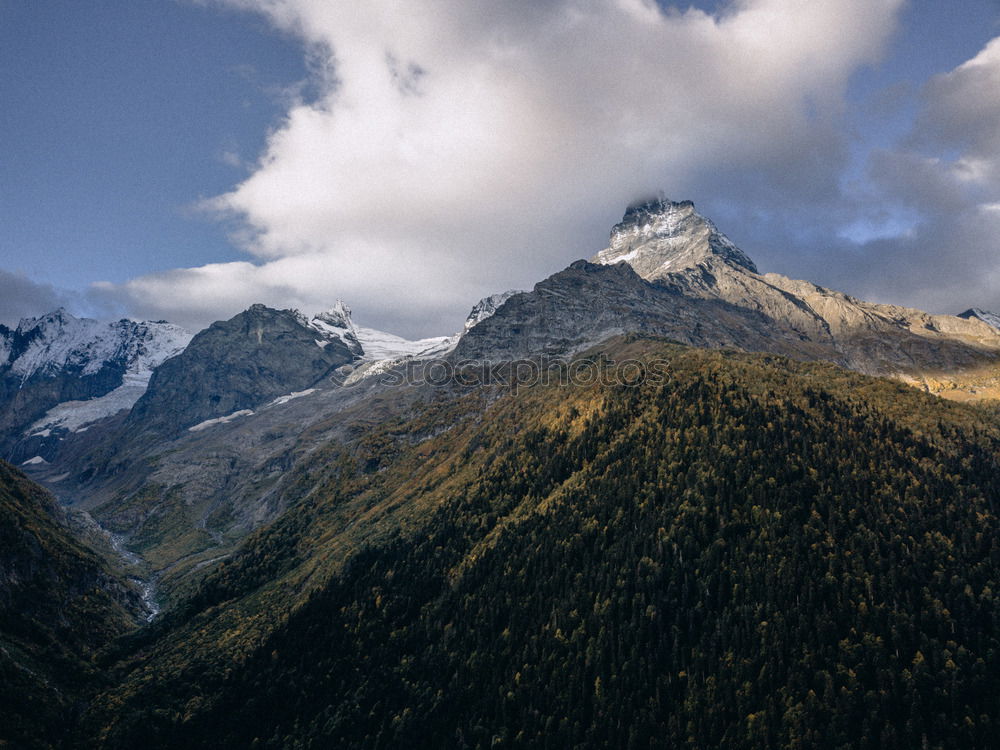 Similar – Sommerschnee Umwelt Natur