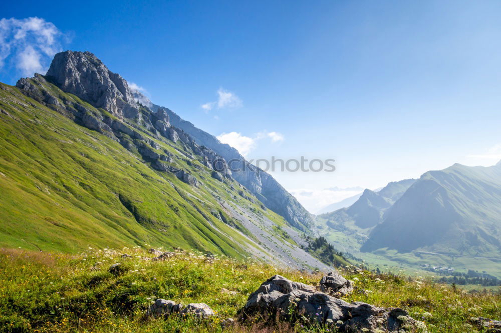 Similar – Image, Stock Photo fair-weather walk