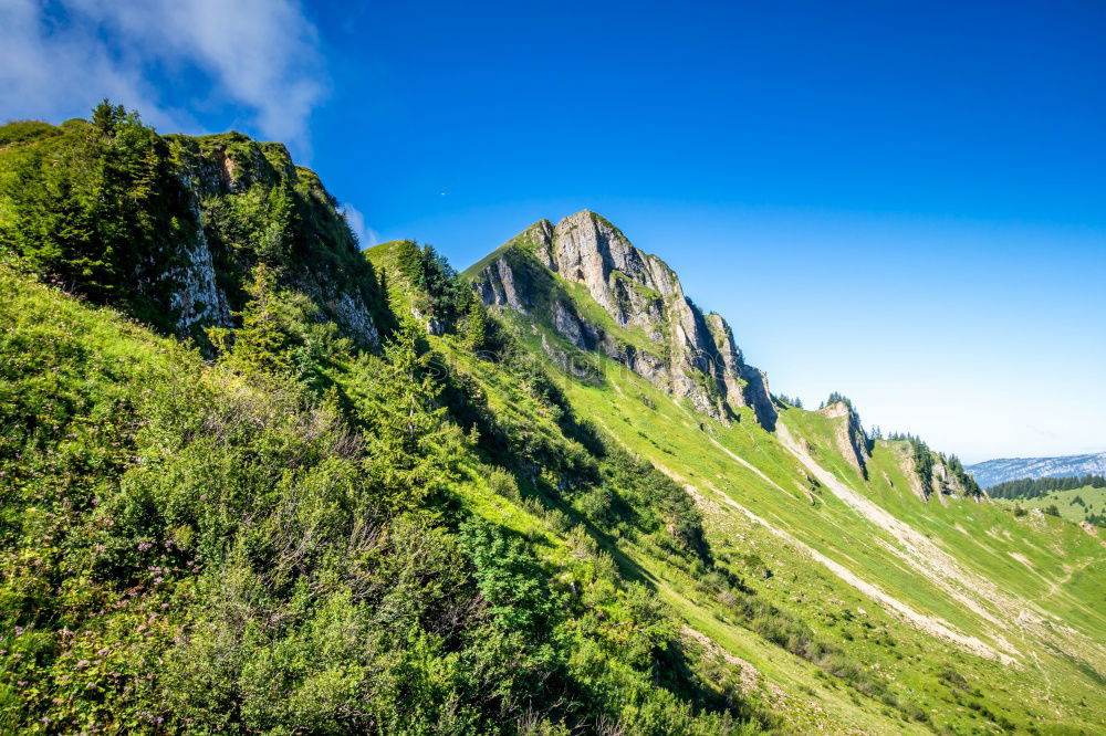 Similar – Ho-Ho, Ho-Hohe Berge Tanne