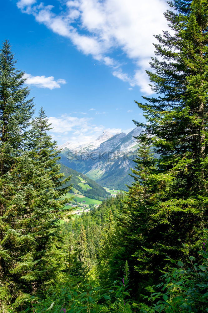 Similar – Carpathian Mountains Landscape In Romania