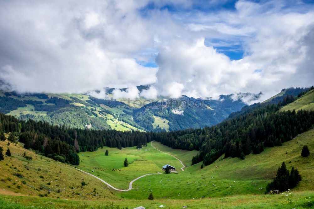 Similar – Image, Stock Photo Spring storm in mountains panorama. Dandelion meadow.